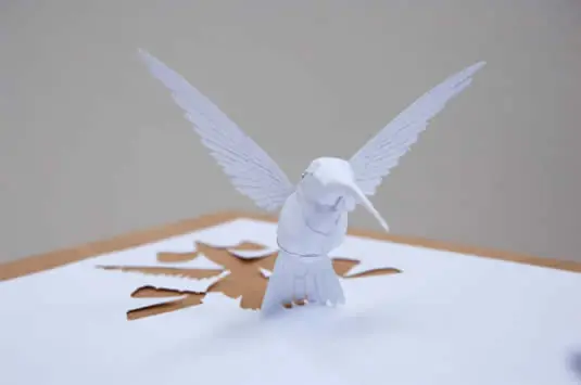 curiosas