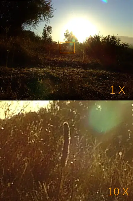 Entendiendo la Fotografía Digital: El Zoom