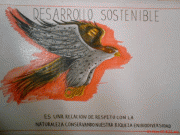 Mis Dibujos