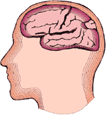 Trabajo para el Cerebro