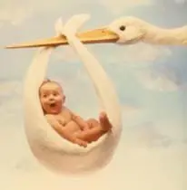 ¿Por qué las cigüeñas traen a los bebés?