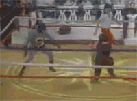 Gifs muy graciosos