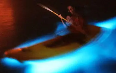 La Bahía Luminiscence