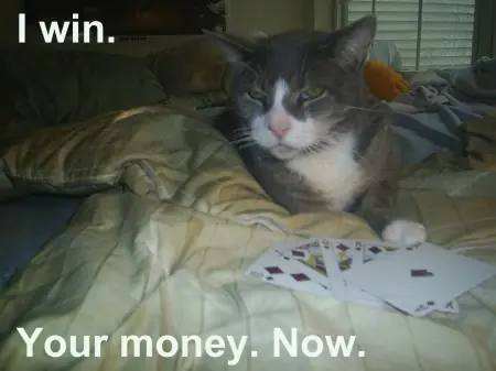 Imágenes de gatos (Lolcats)