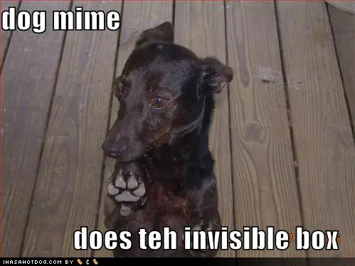 Perros Invisibles