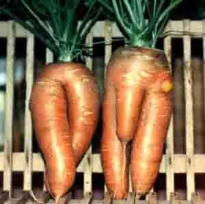 Si Entrás y no Te Reís, Sos Un Amargo