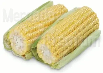Choclos a la parrilla