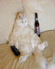 gif graciosos