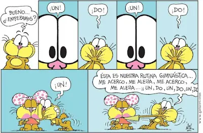 reite