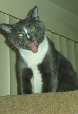 de