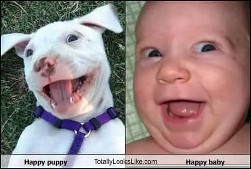 Parecidos razonables