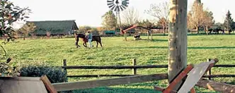 Pedro Luro, un hermoso sitio para descansar.