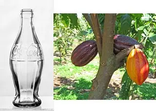 Cosas Que Nadie Las Sabia