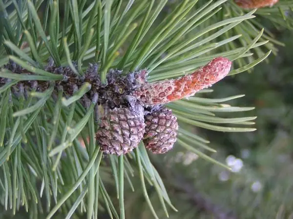 Megapost Imagenes Graciosas, Fails