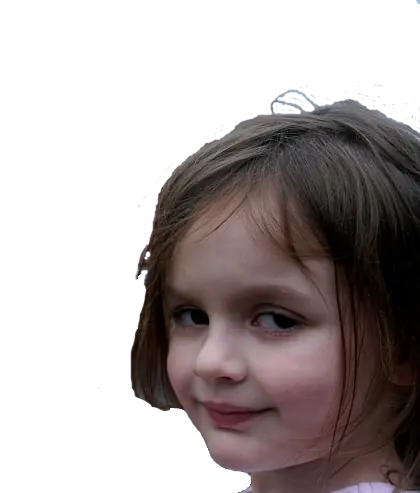 la niña de los desastre - disaster girl