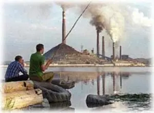 Que es la Contaminación Ambiental?