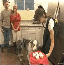 gif graciosos