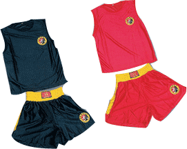 Lo que debés saber para competir Sanshou