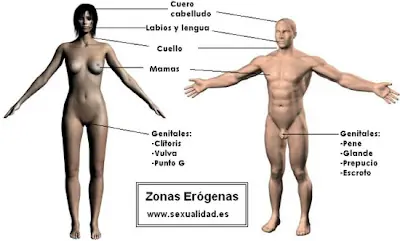 Zonas erogenes de la mujer!!!