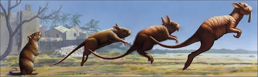 Asi Evolucionaran las Especies