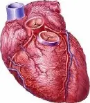 La angina con frecuencia afecta la calidad de vida