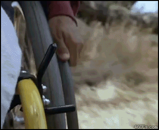 Los mejores gifs , pasa y reite un poco