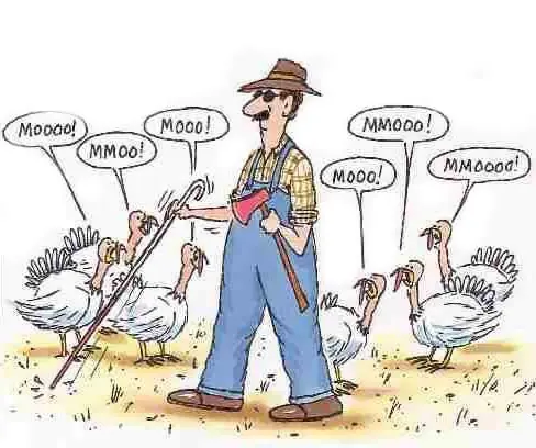 Humor Grafico Del Nuevo parte 1