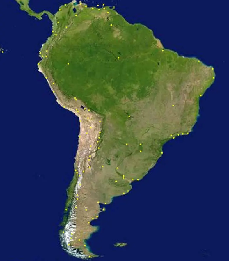 Sudamérica + Africa = Tyranosaurio Rex