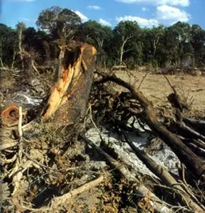 La Forestal: Como los Britanicos nos colonizaron.