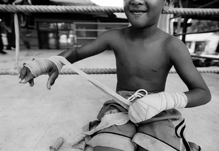 Boxeadores con dientes de leche