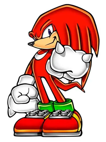 Knuckles The Echidna
