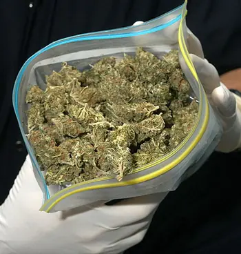 ¿Qué países fuman más marihuana? ¿Dónde es más barata