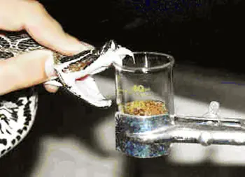 ciencia