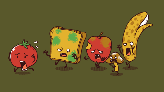 t-shirt muy interesantes