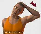 Estiramientos recomendados para oficinas EN 6 MINUTOS