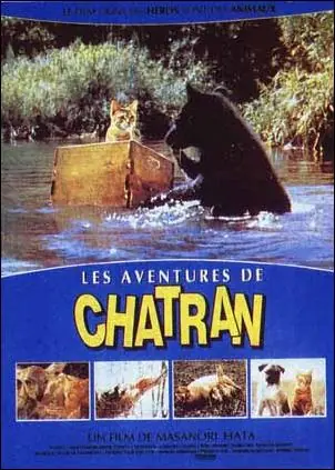 triste final de animales famosos