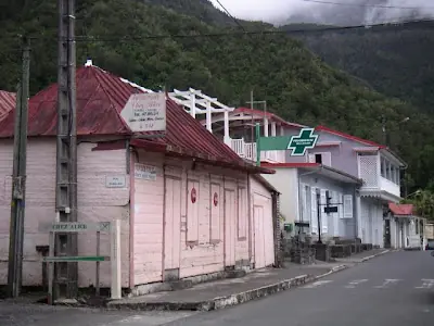 Perros y Gatos vivos utilizados de carnada para tiburones