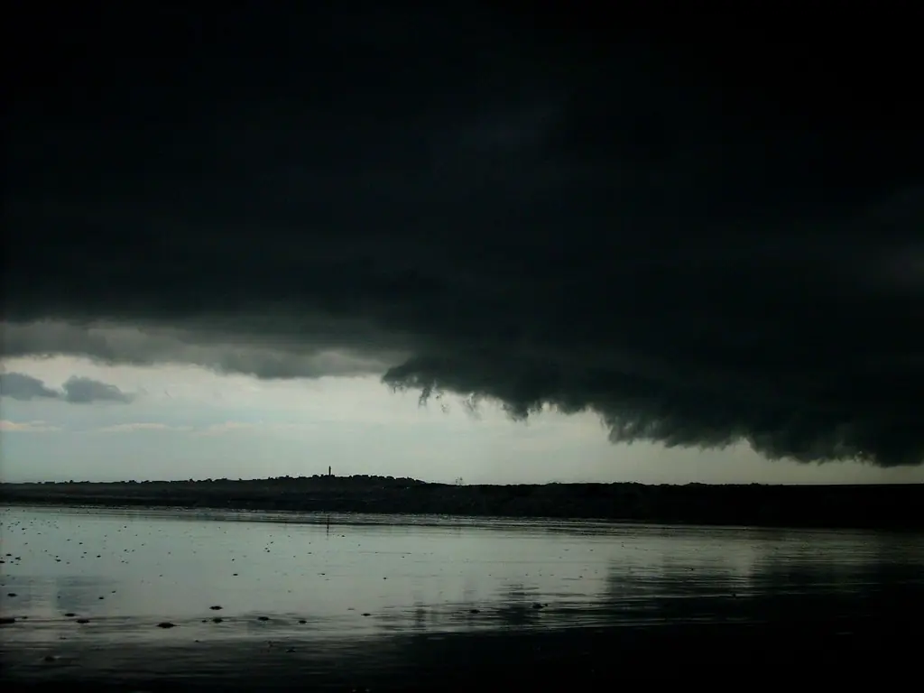 Los Peligros de Cabo Polonio - Uruguay