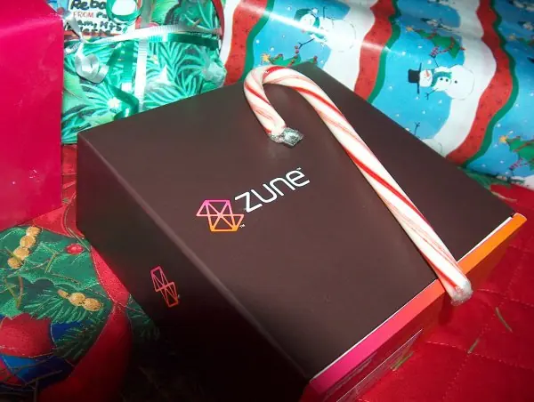 ZUNE vuelve a funcionar sin problemas