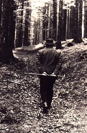 El Silencio de Heidegger