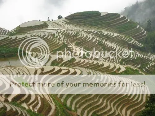 Sabes donde se produce el 30% de arros del mundo