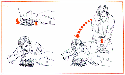 Primeros Auxilios [Algun dia podemos necesitarlo]