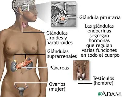 Biopsia de tiroides con aguja fina