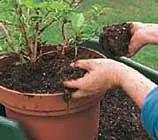 25 consejos sobre macetas y jardineras