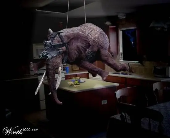 Encuentra al elefante