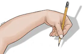 ¿Por que hay zurdos y diestros?