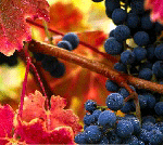 Elaboracion del vino tinto