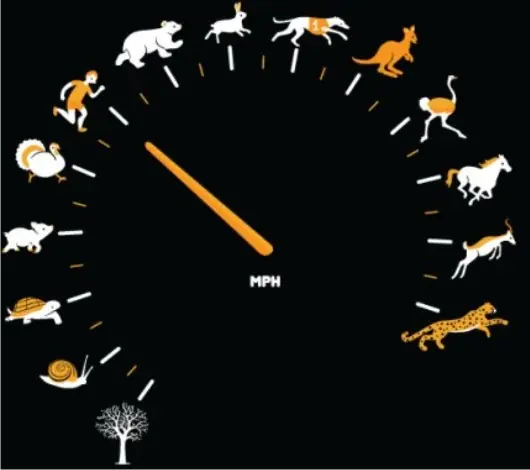 Expresiones sin sentido...! (Imágenes)