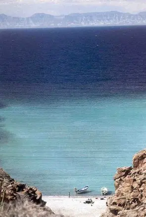 Hay que Beber agua del mar