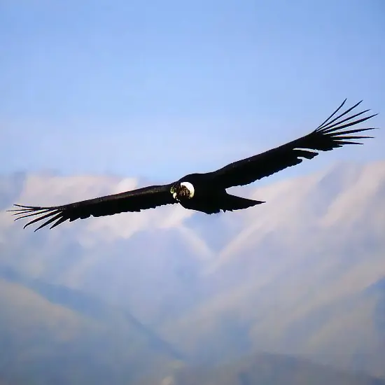 by:johan_6192000